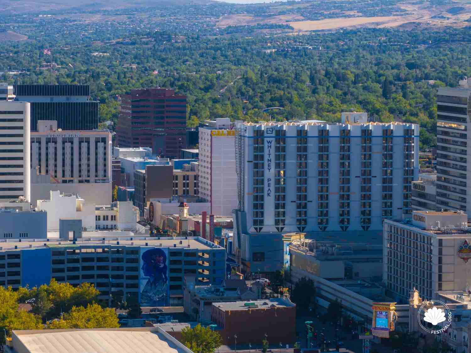 Court-admissible DNA Testing in Artesia, NM DNA Paternity Testing in Artesia, NM